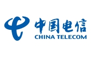 中國電信集團有限公司